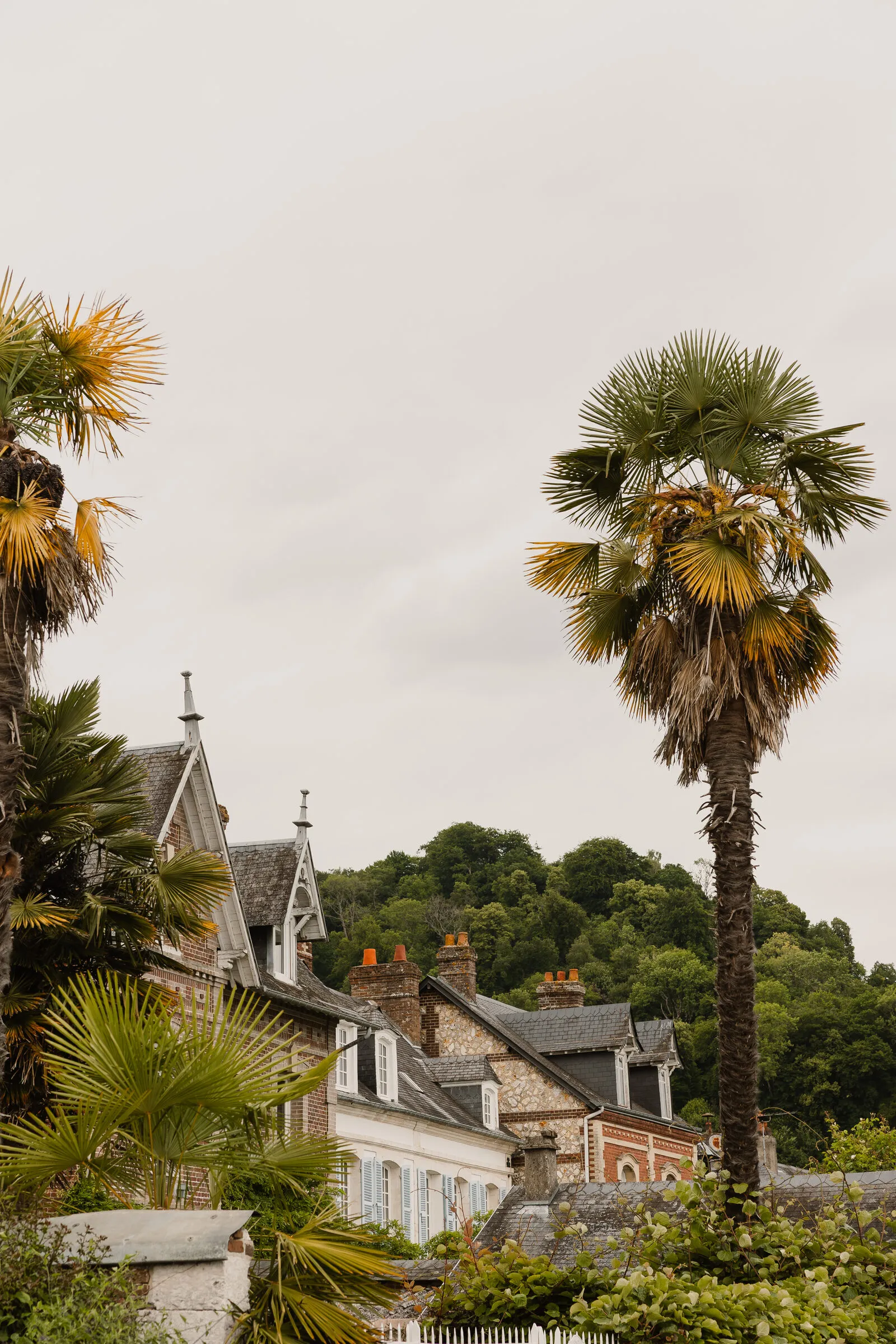 Le village de Villequier s'élève sur la colline, entre Seine et forêt
